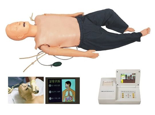 Manivelle en PVC pour la formation médicale dans les catégories ACLS et modèle d'intubation IV