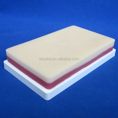 Manikine taille de vie humaine 3 couches Pad de pratique de suture pour la peau de graisse et de muscles modèle d'entraînement