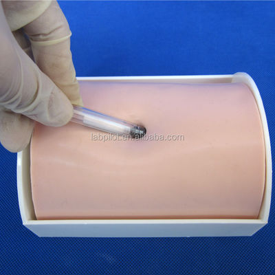 Catégories Mannequin éducatif Injection de peau vive Pad de pratique pour les écoles d'infirmières