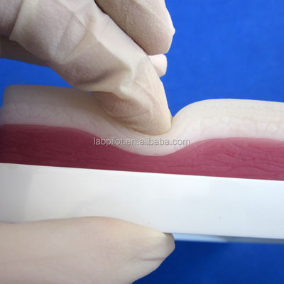 Manikine taille de vie humaine 3 couches Pad de pratique de suture pour la peau de graisse et de muscles modèle d'entraînement