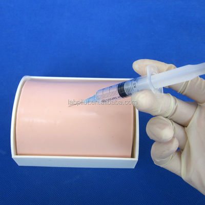 Catégories Mannequin éducatif Injection de peau vive Pad de pratique pour les écoles d'infirmières