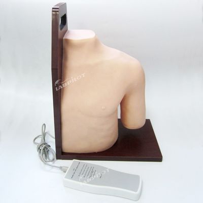 Sujet Science médicale Manikine électronique de l'épaule Simulateur d'entraînement de l'injection de l'articulation Modèle infirmier