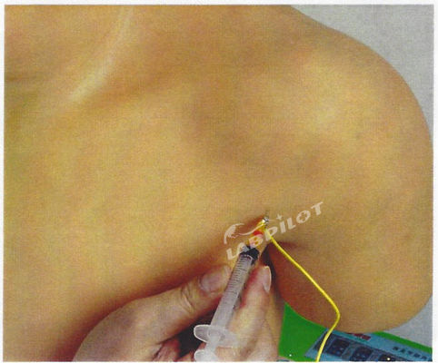 Sujet Science médicale Manikine électronique de l'épaule Simulateur d'entraînement de l'injection de l'articulation Modèle infirmier