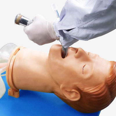 Tête d'intubation en anatomie vive pour modèle électronique multifonctionnel de gestion des voies respiratoires