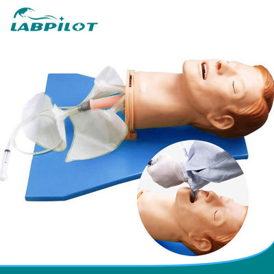 Tête d'intubation en anatomie vive pour modèle électronique multifonctionnel de gestion des voies respiratoires