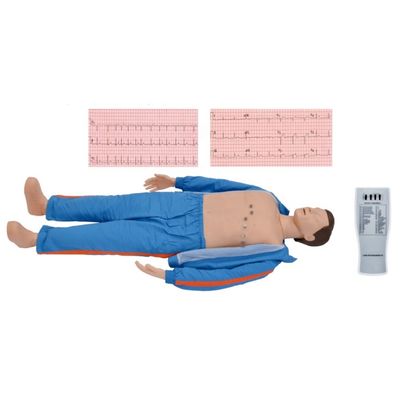 Simulateur informatisé pour adultes pour les professionnels médicaux