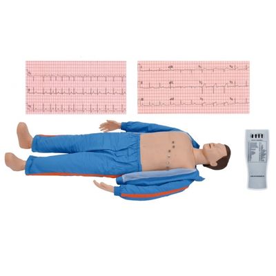 Simulateur informatisé pour adultes pour les professionnels médicaux