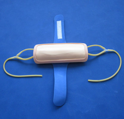 Pad d'entraînement à la vénénecture de l'avant-bras en PVC avancé IV Pad d'injection pour les sciences médicales