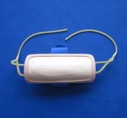 Pad d'entraînement à la vénénecture de l'avant-bras en PVC avancé IV Pad d'injection pour les sciences médicales