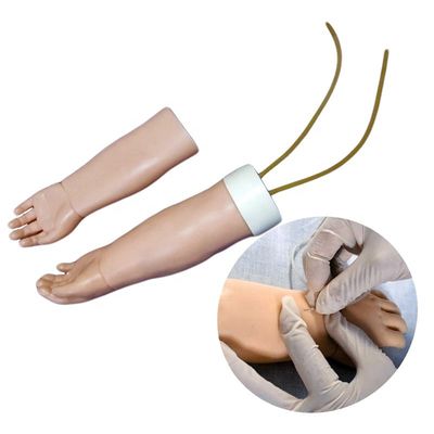 Science médicale sujet Vénéticulture portable modèle de formation de bras avec peau remplaçable