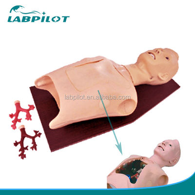 Formation en soins aux patients Simulateur de bronchoscopie médicale et d'intubation avec alarme