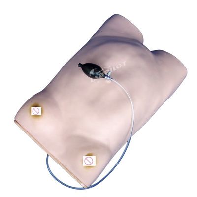 Manuque de soins infirmiers de maternité en PVC avancé essentiel pour la formation en palpation maternelle