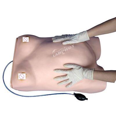 Modèle de mannequin de palpation électronique de la maternité avec fonction d'auscultation gynécologique