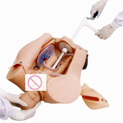 Manivelle de premiers soins pour les patients Démonstration de soins Simulateur d'enseignement de l'accouchement avancé