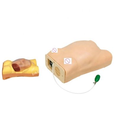 Taille de vie humaine Grossesse mannequin Auscultation Simulateur d'enseignement pour les sciences médicales