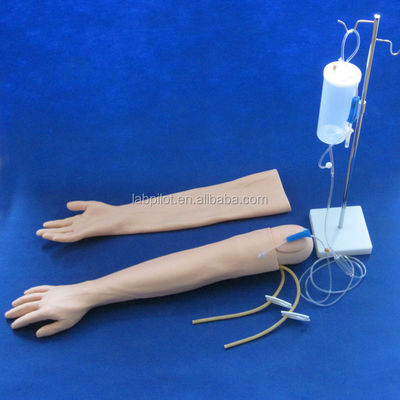 Modèle de formation à l'infirmière clinique multifonctionnelle