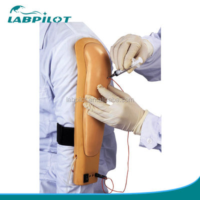 Formation aux compétences en soins infirmiers cliniques Enseignement médical Simulateurs Formation au modèle d'injection de bras