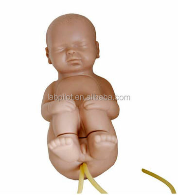 Manikine de taille humaine pour la pratique pédiatrique de la ponction vertébrale