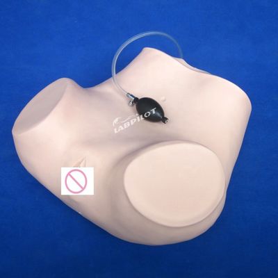 Contraception Examen pelvien de l'utérus Formation au mannequin Médical gynécologie Modèle de soins