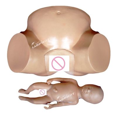 Simulateur d'accouchement par extraction sous vide pour la formation des sages-femmes