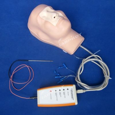 Cautérisation de l' hémostase nasale et de l' entraînement à l' emballement mannequin pour modèle médical fonctionnel