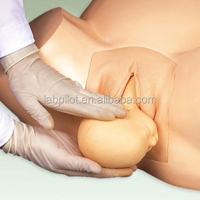 Simulateur d'accouchement par extraction sous vide pour la formation des sages-femmes