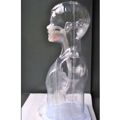 Les enfants transparents nourrissant par le nez et lavage gastrique Modèle de simulateur de soins infirmiers