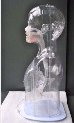 Les enfants transparents nourrissant par le nez et lavage gastrique Modèle de simulateur de soins infirmiers