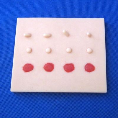 Kit de formation clinique professionnelle pour les sciences médicales chirurgie mineure multifonctionnelle