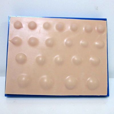 Modèle avancé d'incision en PVC pour l'enseignement des compétences en incision et drainage d'abcès en 2023