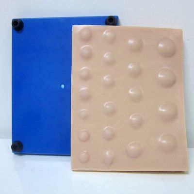 Modèle avancé d'incision en PVC pour l'enseignement des compétences en incision et drainage d'abcès en 2023