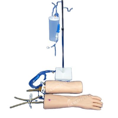 Modèle d'entraînement à la perfusion IV Peau douce Main et coude Armée d'entraînement à la transfusion intraveineuse