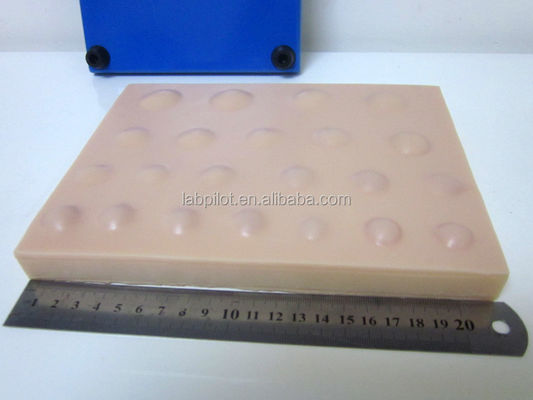 Modèle avancé d'incision en PVC pour l'enseignement des compétences en incision et drainage d'abcès en 2023