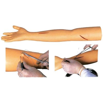 Manikine pour la pratique de suture avancée