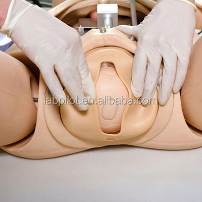 Système de formation avancée en obstétrique en PVC pour les soins d'urgence et les soins infirmiers après l'accouchement