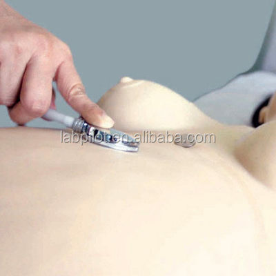 Système de formation avancée en obstétrique en PVC pour les soins d'urgence et les soins infirmiers après l'accouchement