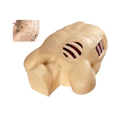 Manikine de décompression du pneumothorax en PVC pour une simulation artificielle de l'hydrothorax