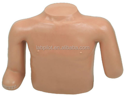 Science médicale Formation en soins aux patients Extrémité supérieure Amputation du torse Dressing et bandage de mannequin Modèle de formation