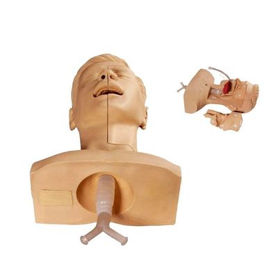 Formation en soins infirmiers Manikin Simulateur de suction avancée pour une aspiration efficace des expectorants