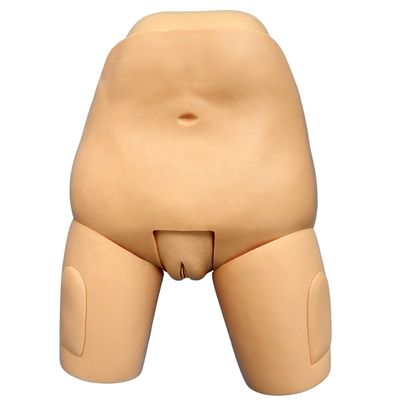 Simulateur de soins infirmiers de mannequin post-partum pour le fonds de la science médicale de l' examen de l' utérus