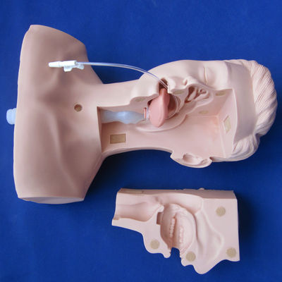 Formation en soins infirmiers Manikin Simulateur de suction avancée pour une aspiration efficace des expectorants