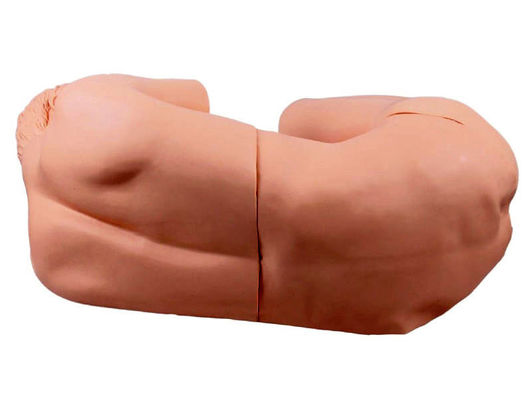 Manivelle de soins infirmiers pour adultes innovante pour la formation clinique sur la ponction lombaire