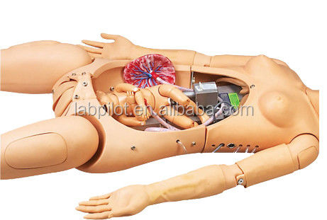 Simulateur d'urgence de soins maternels et d'accouchement néonatal pour démonstration de soins aux patients