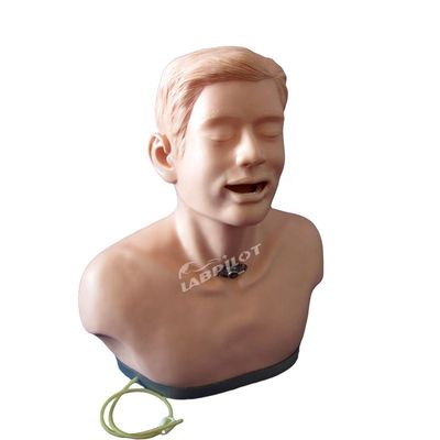 2023 Trachéotomie des adultes soins et aspiration infirmière mannequin Hôpitaux' meilleur outil de formation