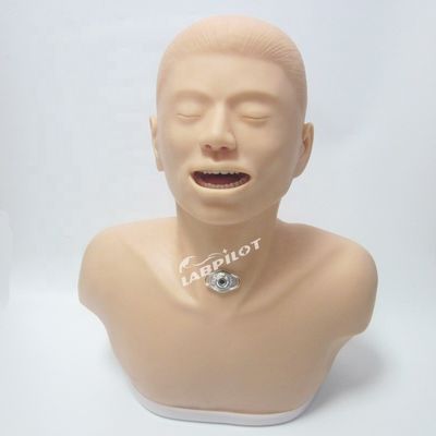 2023 Trachéotomie des adultes soins et aspiration infirmière mannequin Hôpitaux' meilleur outil de formation