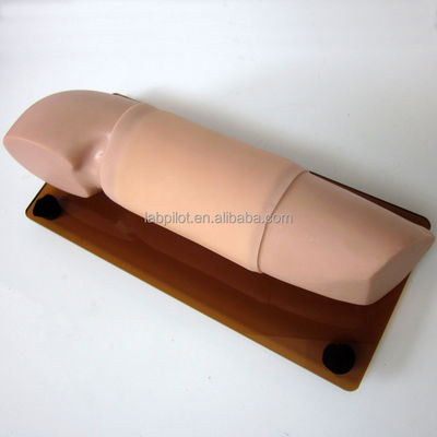 Formation avancée en soins infirmiers Fonction Formation en contraception sous-cutanée intégrée Modèle de bras
