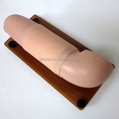 Formation avancée en soins infirmiers Fonction Formation en contraception sous-cutanée intégrée Modèle de bras