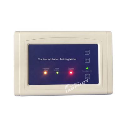 Simulateur de formation à l'intubation avec moniteur électronique