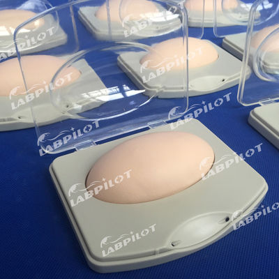 Pad de démonstration de l'implantation sous-cutanée de PVC pour la formation en planification familiale