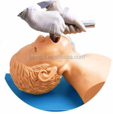 Simulateur de formation à l'intubation avec moniteur électronique